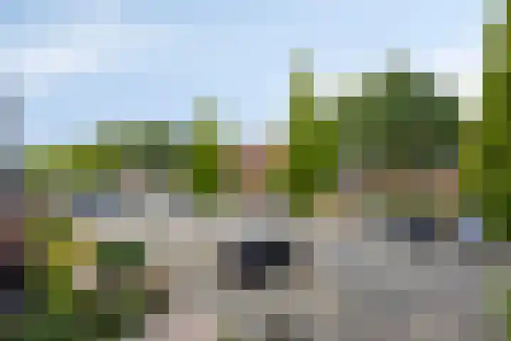 Palmestein 49 Nieuw-Vennep thumbnail 46