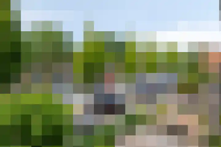 Palmestein 49 Nieuw-Vennep thumbnail 47