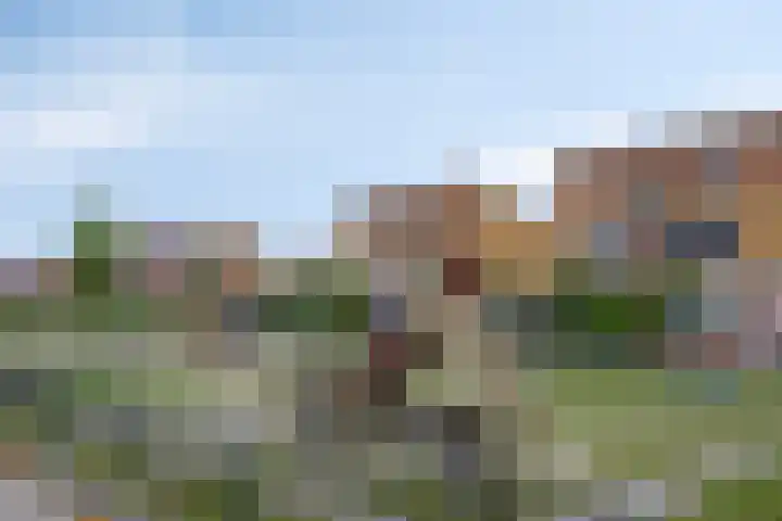 Palmestein 49 Nieuw-Vennep thumbnail 50