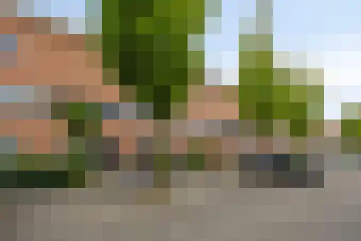 Palmestein 49 Nieuw-Vennep thumbnail 6
