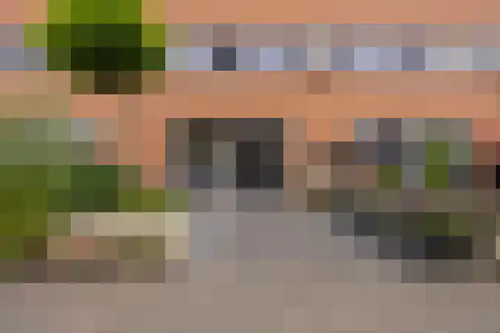 Palmestein 49 Nieuw-Vennep thumbnail 7