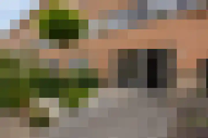 Palmestein 49 Nieuw-Vennep thumbnail 8