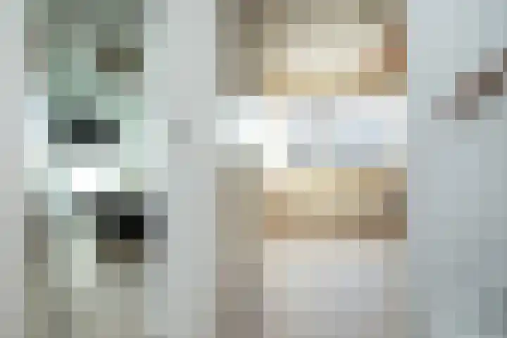 Palmestein 71 Nieuw-Vennep thumbnail 16
