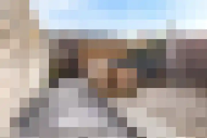 Palmestein 71 Nieuw-Vennep thumbnail 31