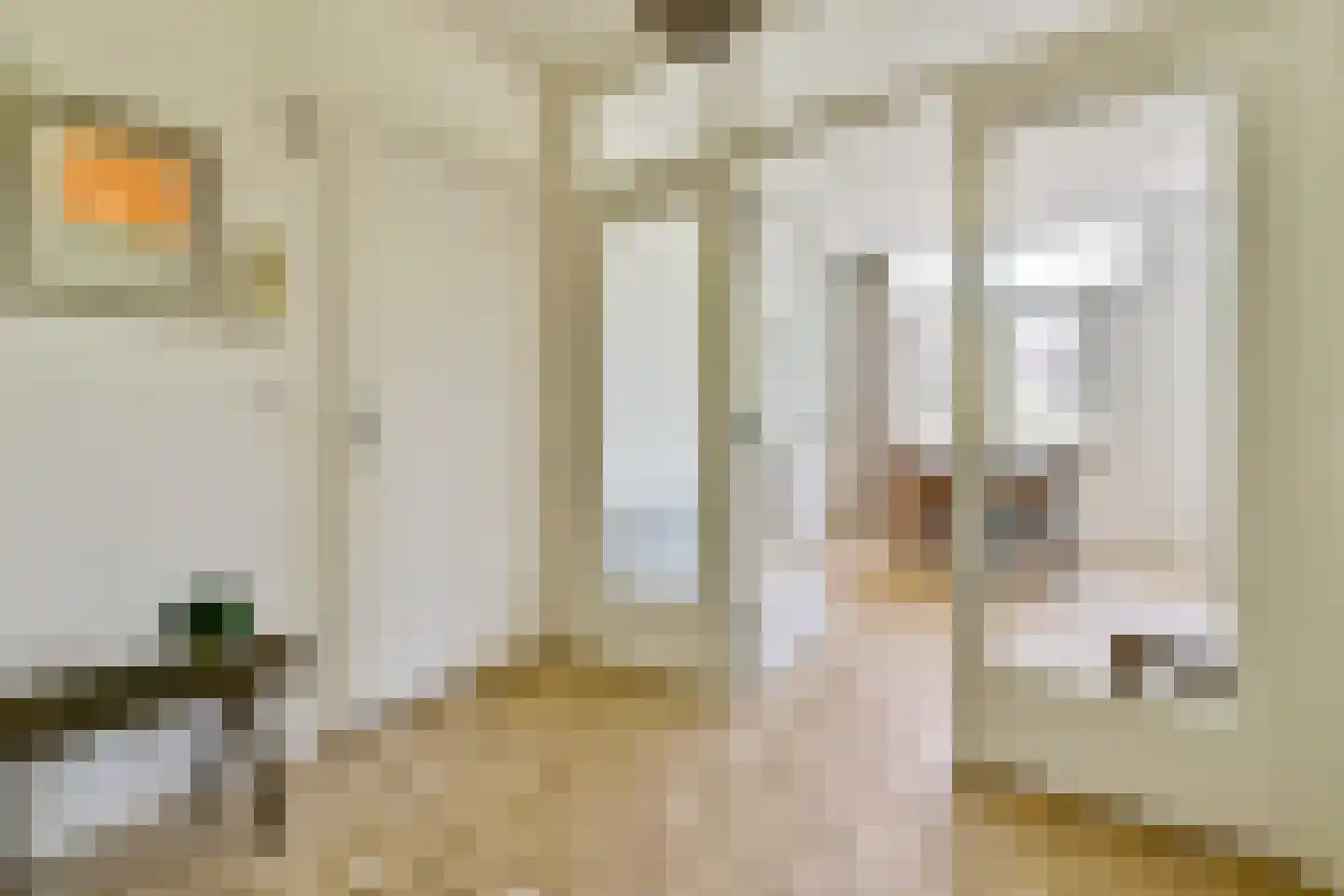 Palmgracht 103 Amsterdam thumbnail 7