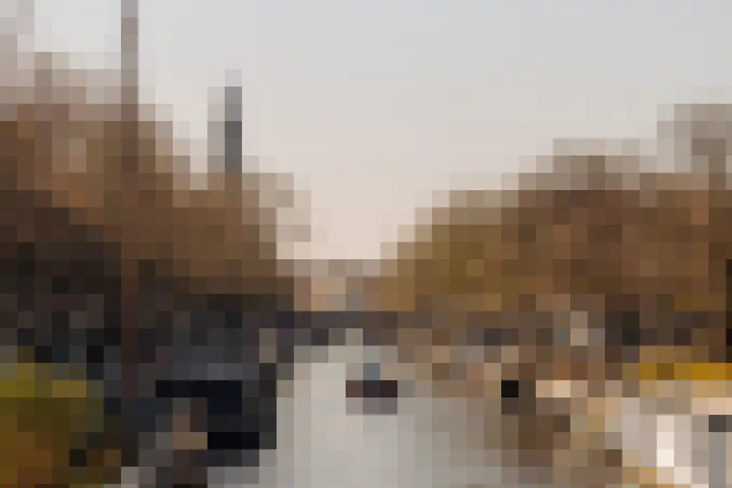 Palmgracht 18 2 Amsterdam thumbnail 18