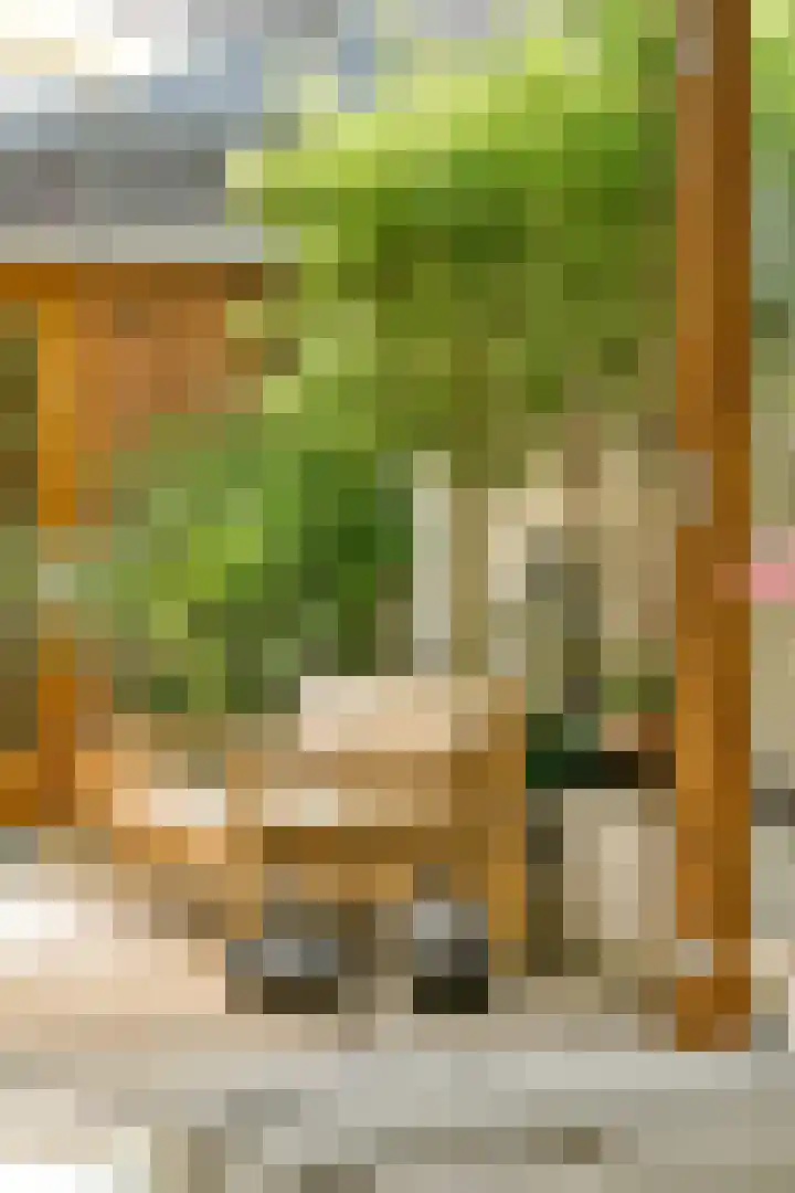Palmgracht 21 2 Amsterdam thumbnail 10