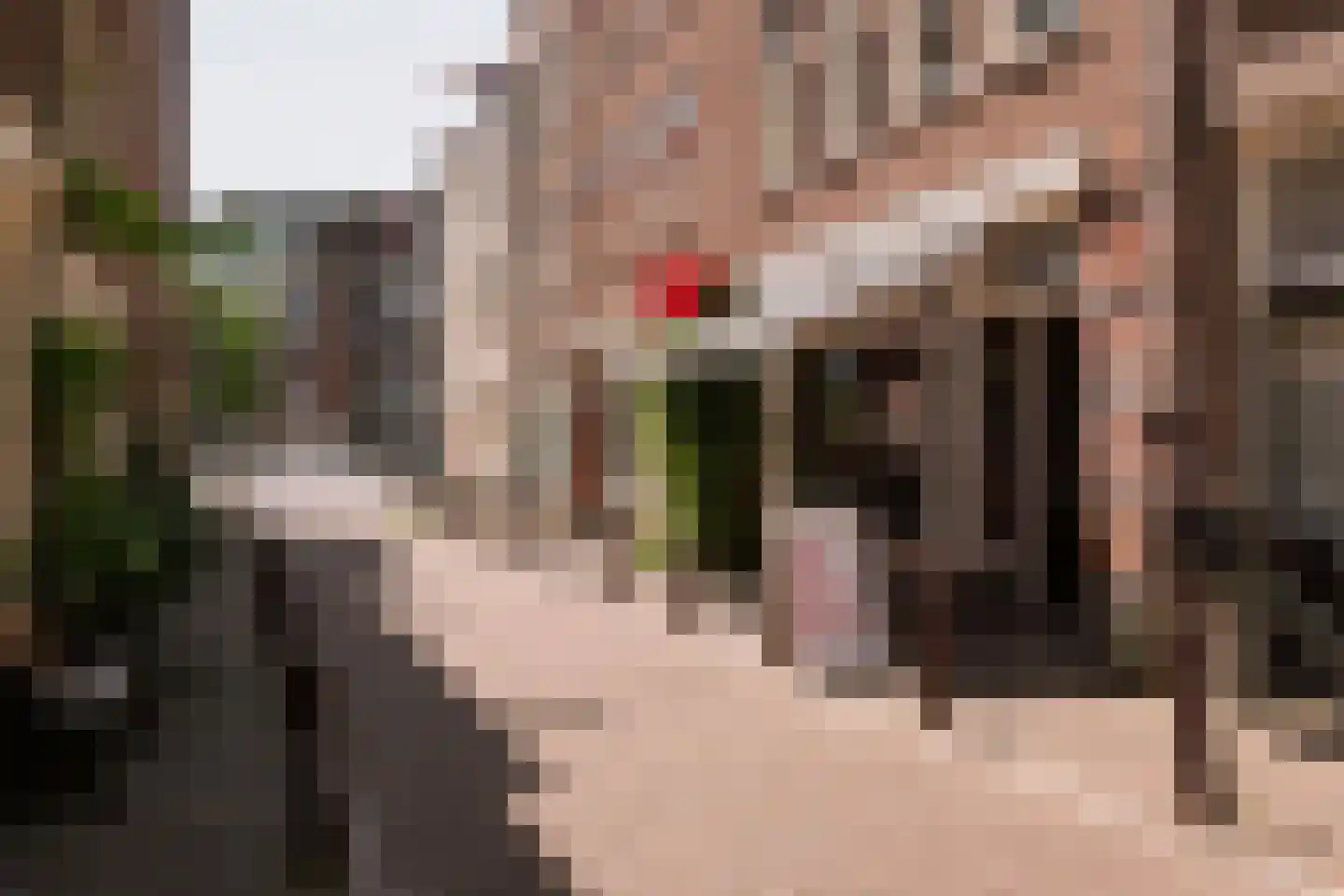 Palmgracht 21 2 Amsterdam thumbnail 27