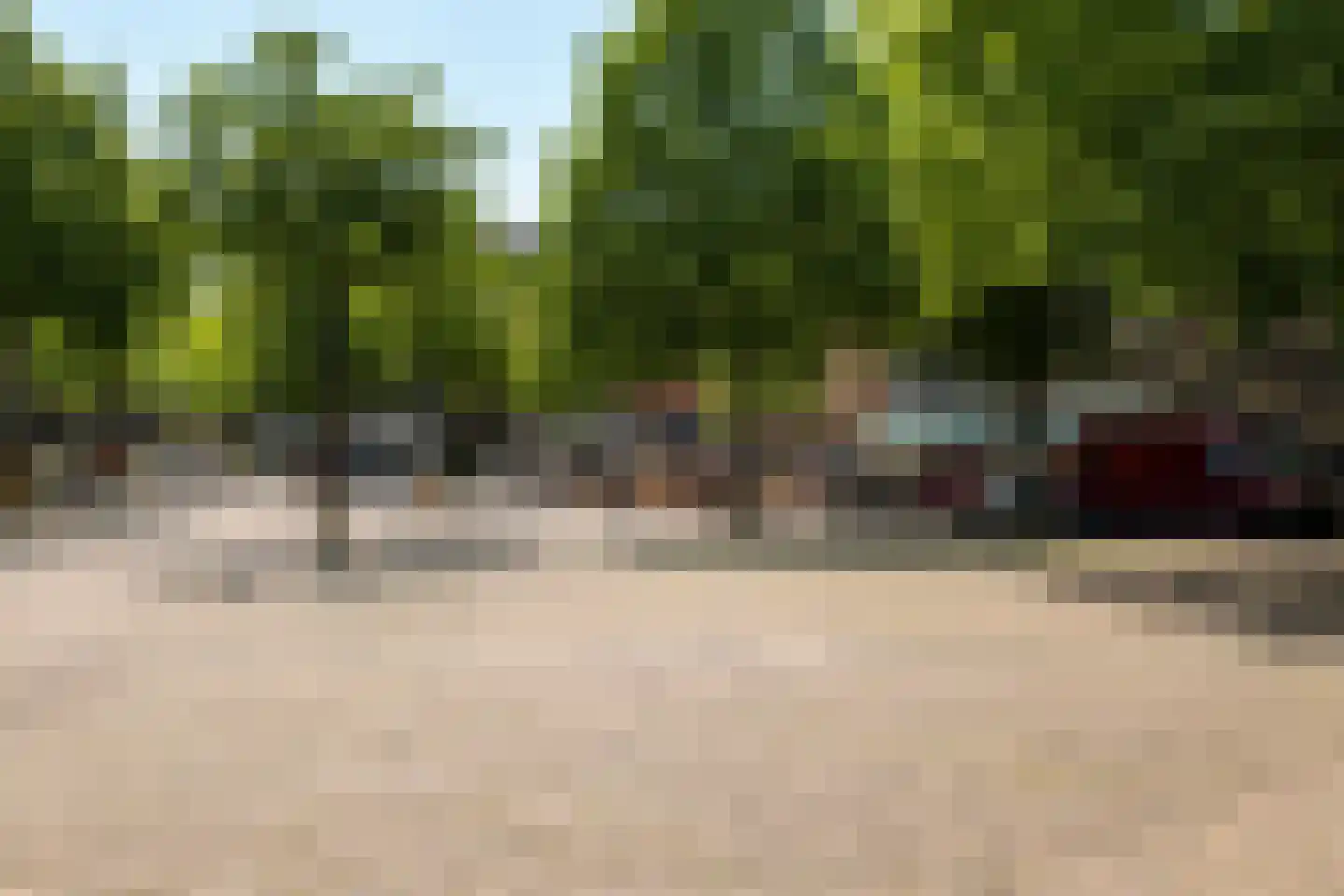 Palmgracht 21 2 Amsterdam thumbnail 28
