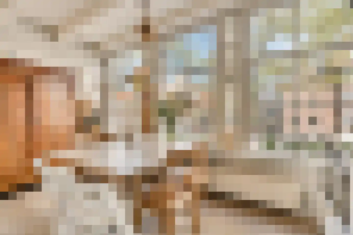 Palmgracht 31 H Amsterdam thumbnail 16