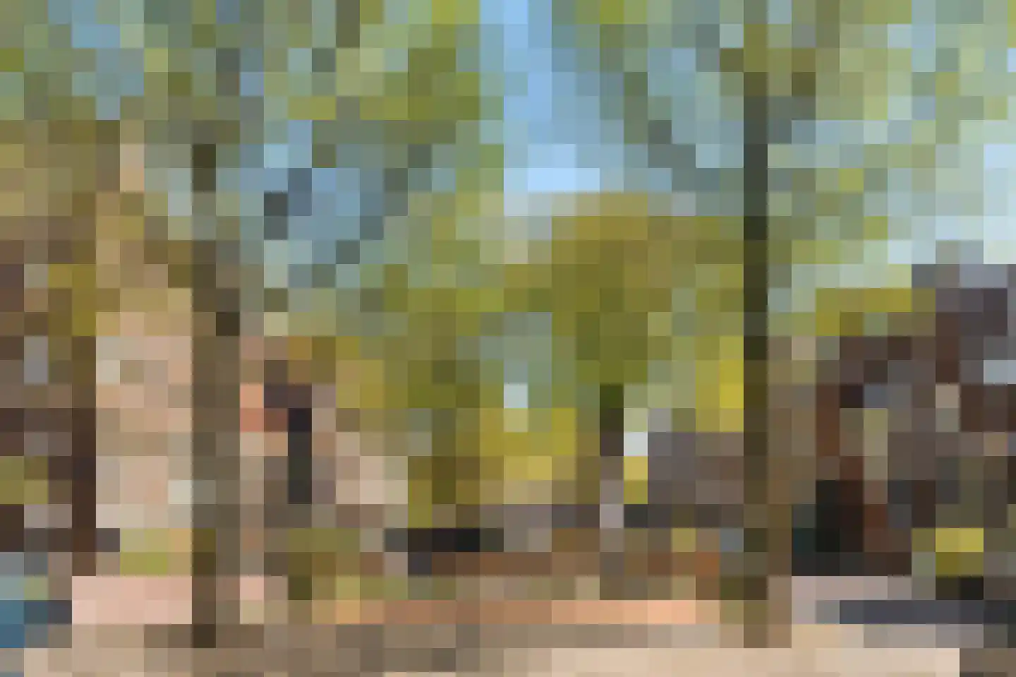 Palmgracht 31 H Amsterdam thumbnail 39