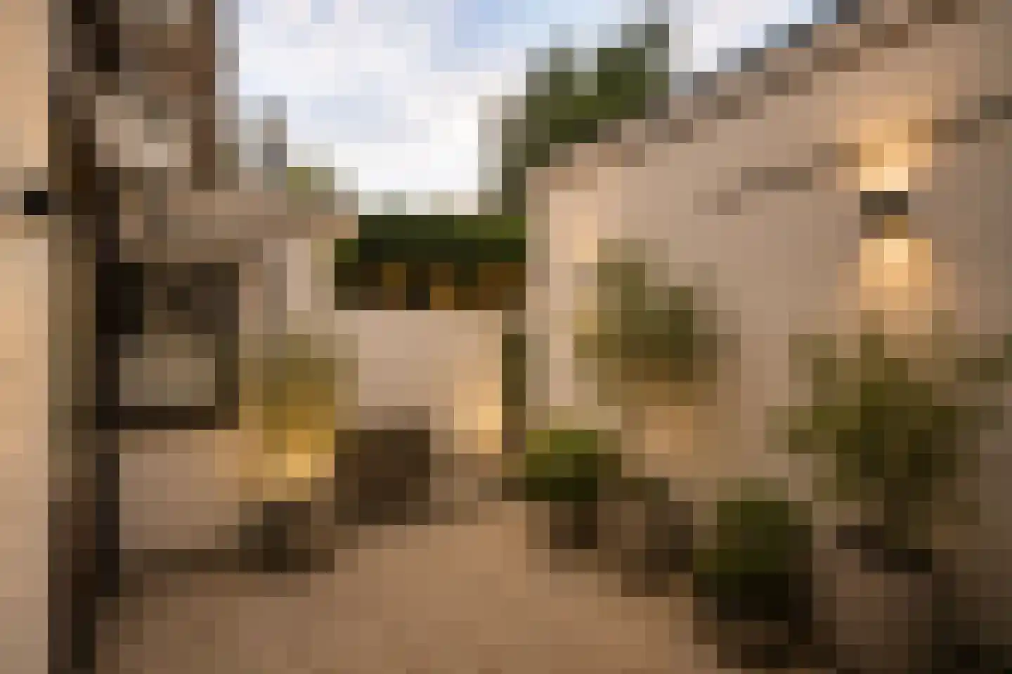 Palmgracht 52 3 Amsterdam thumbnail 10