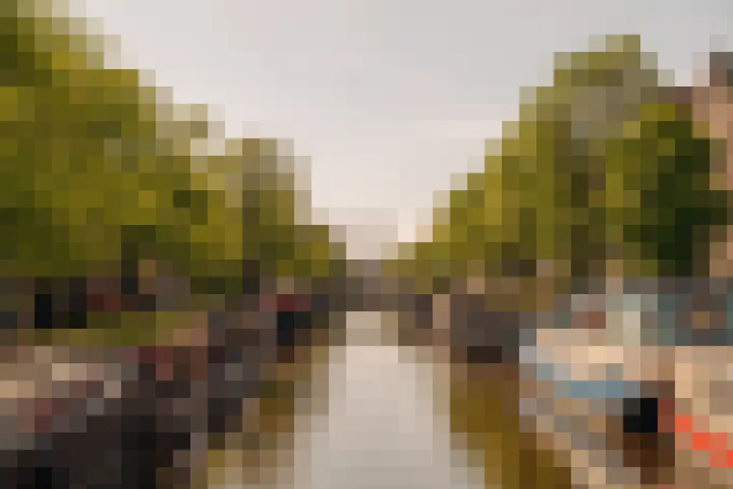 Palmgracht 52 3 Amsterdam thumbnail 21