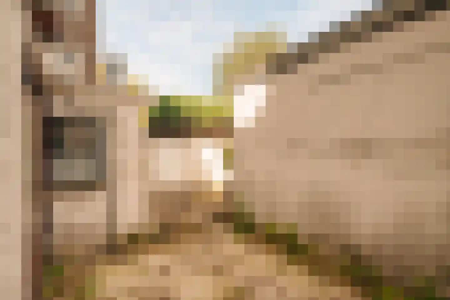 Palmgracht 52 3 Amsterdam thumbnail 9