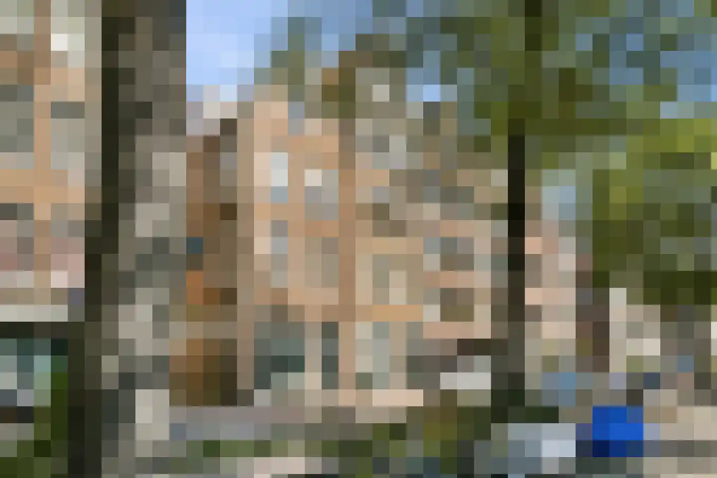 Palmgracht 56 1 Amsterdam thumbnail 21
