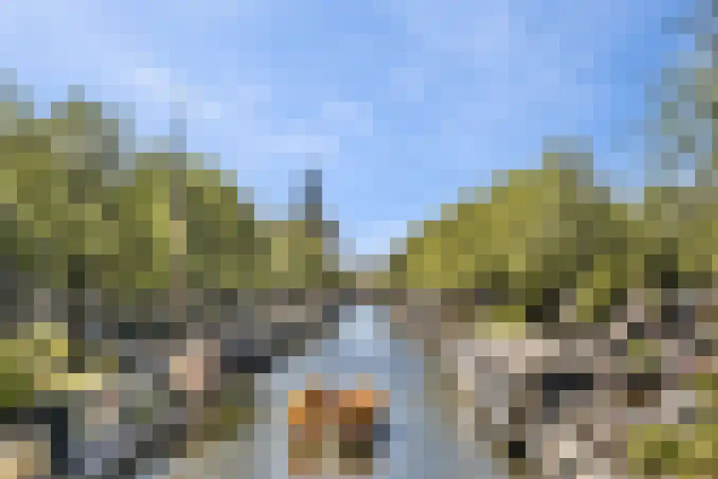 Palmgracht 56 1 Amsterdam thumbnail 22