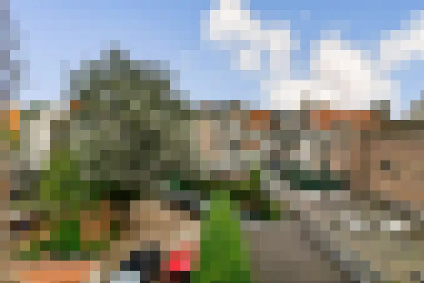 Palmgracht 56 2 Amsterdam thumbnail 17