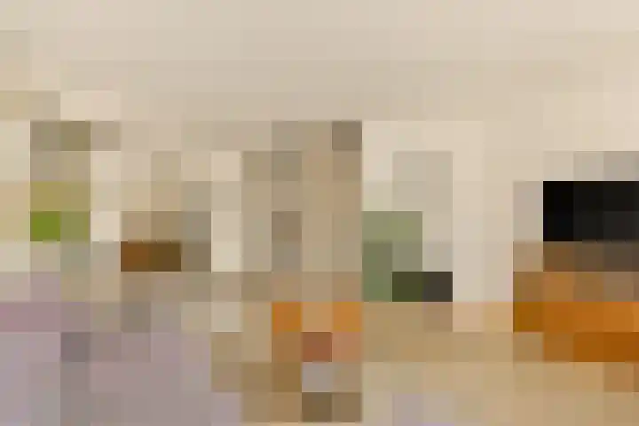 Palmgracht 58 1 Amsterdam thumbnail 8