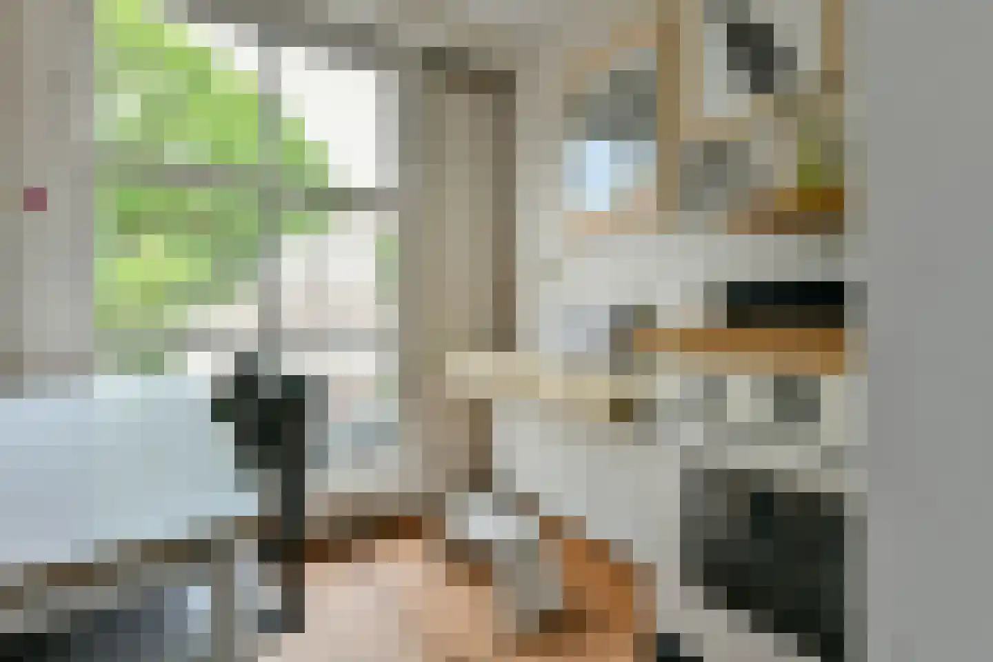 Palmgracht 81 Amsterdam thumbnail 17