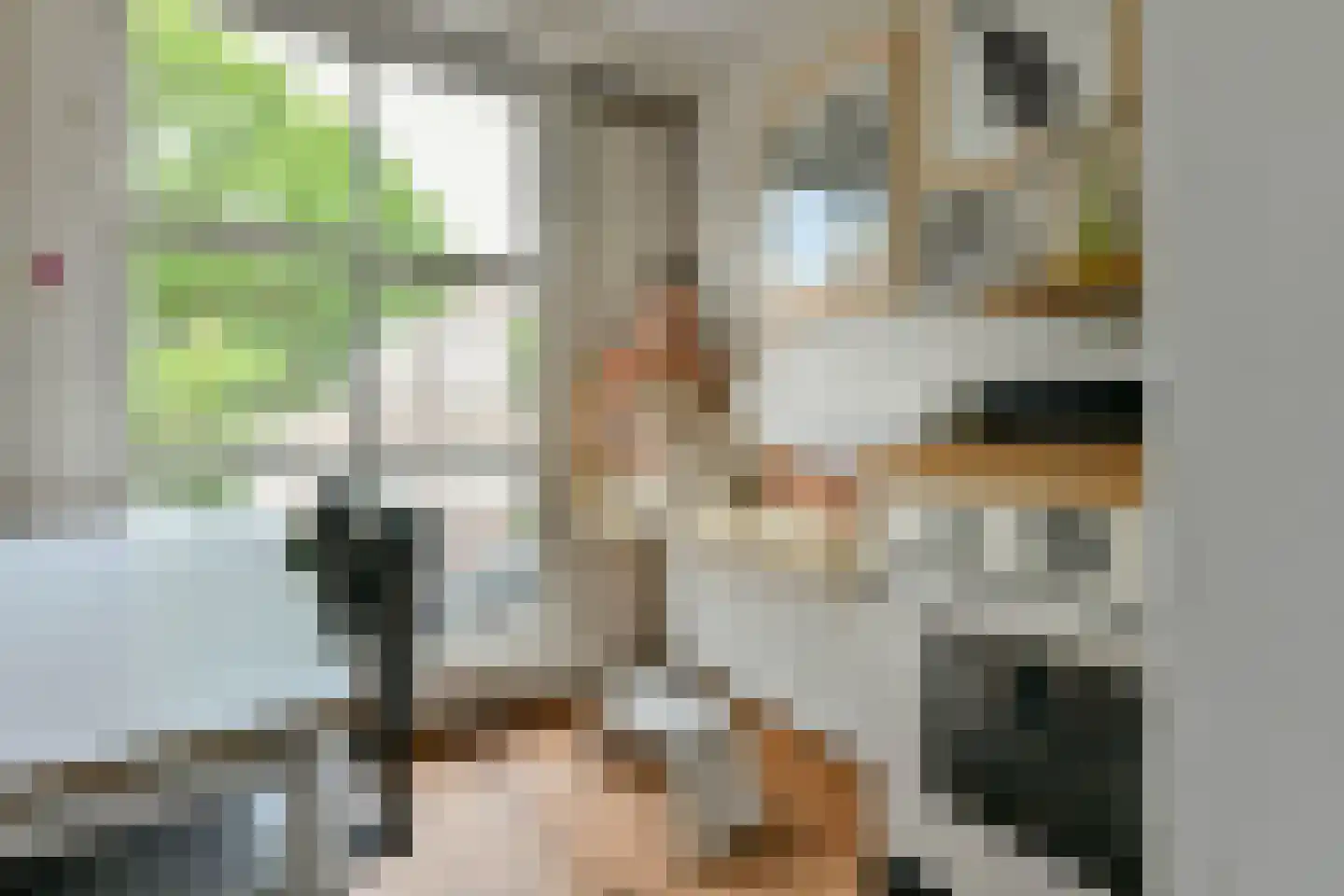 Palmgracht 81 Amsterdam thumbnail 18