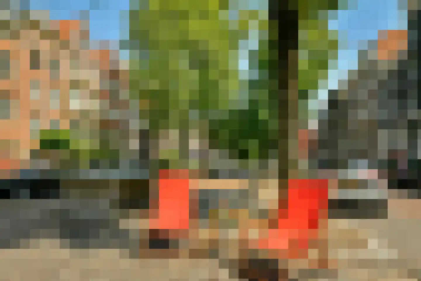 Palmgracht 81 Amsterdam thumbnail 34