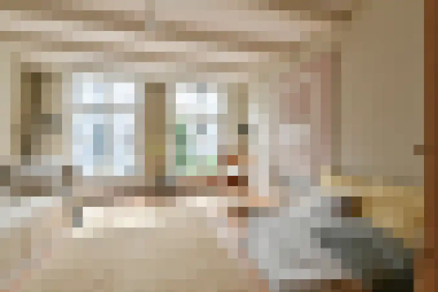 Palmgracht 81 Amsterdam thumbnail 9