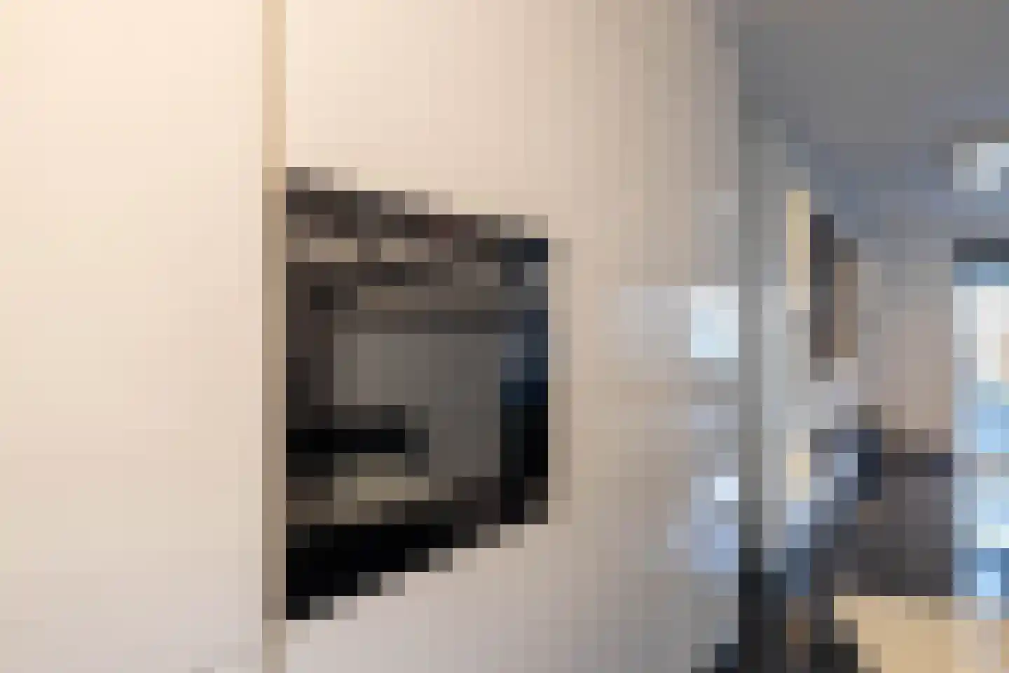 Palmhof 5 Almelo thumbnail 10