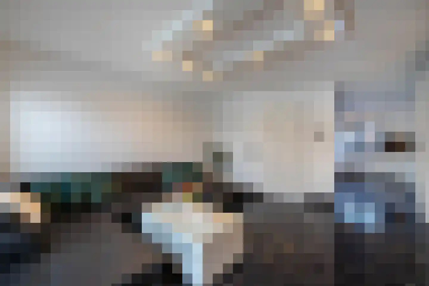 Palmhof 5 Almelo thumbnail 14