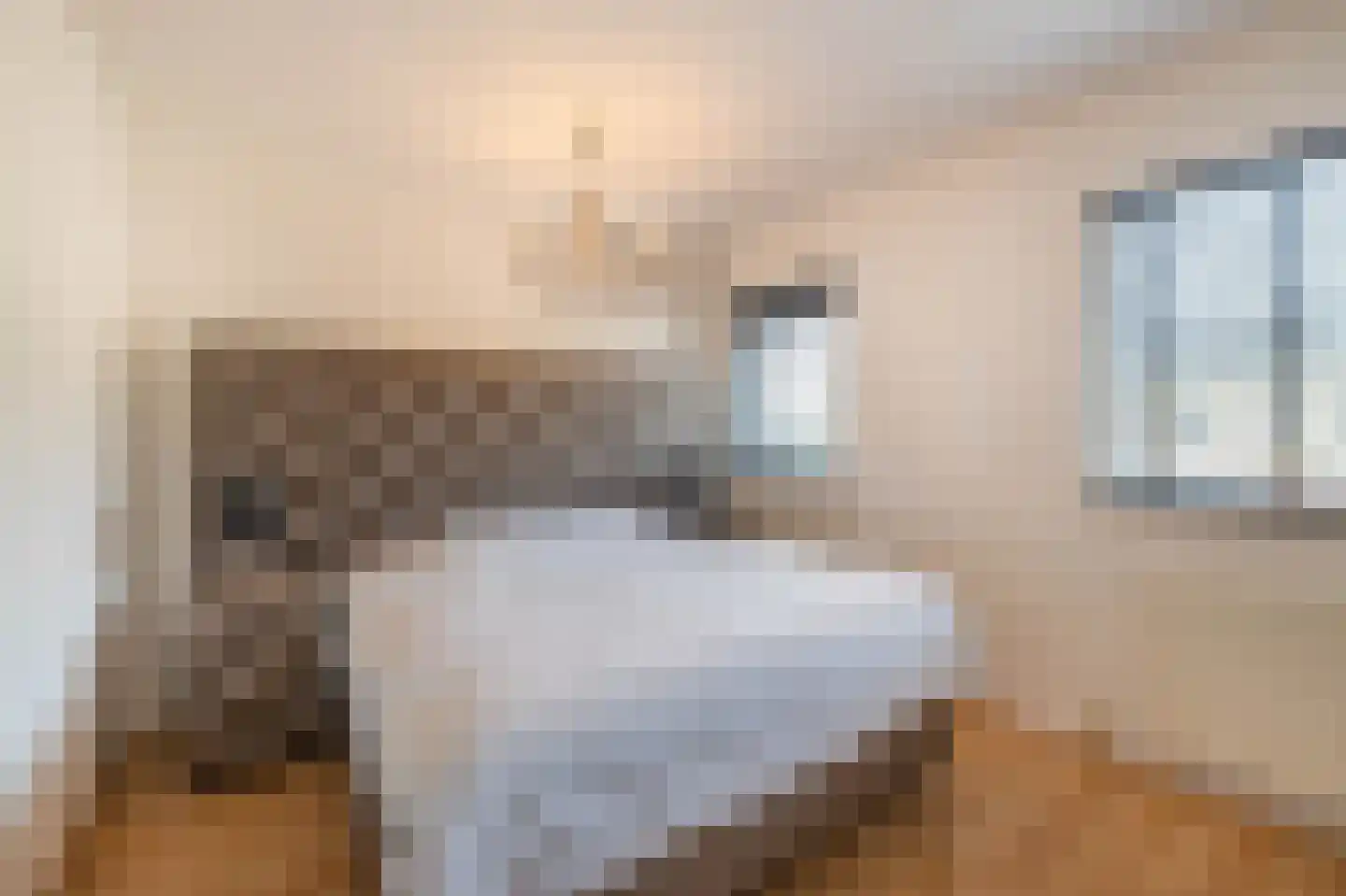 Palmhof 5 Almelo thumbnail 17