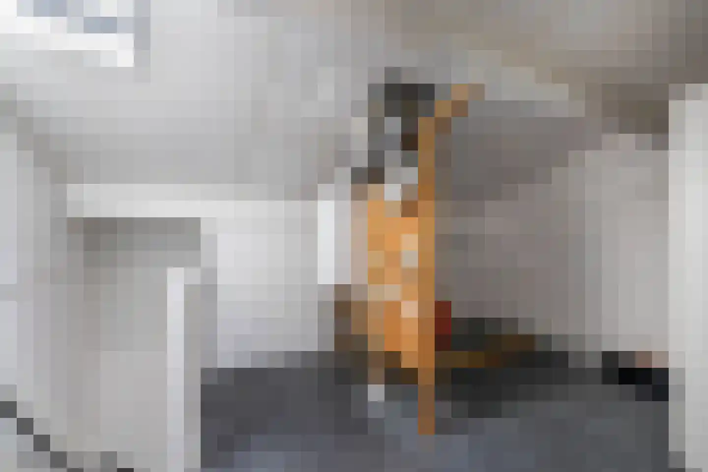 Palmhof 5 Almelo thumbnail 25