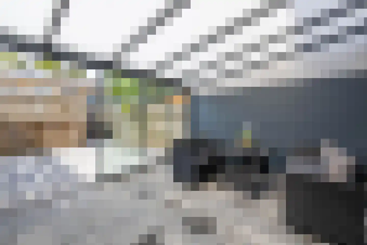 Palmhof 5 Almelo thumbnail 27
