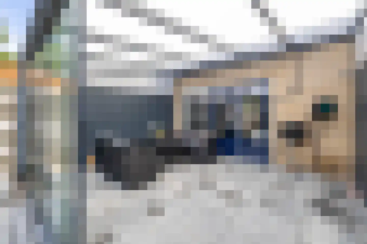 Palmhof 5 Almelo thumbnail 28