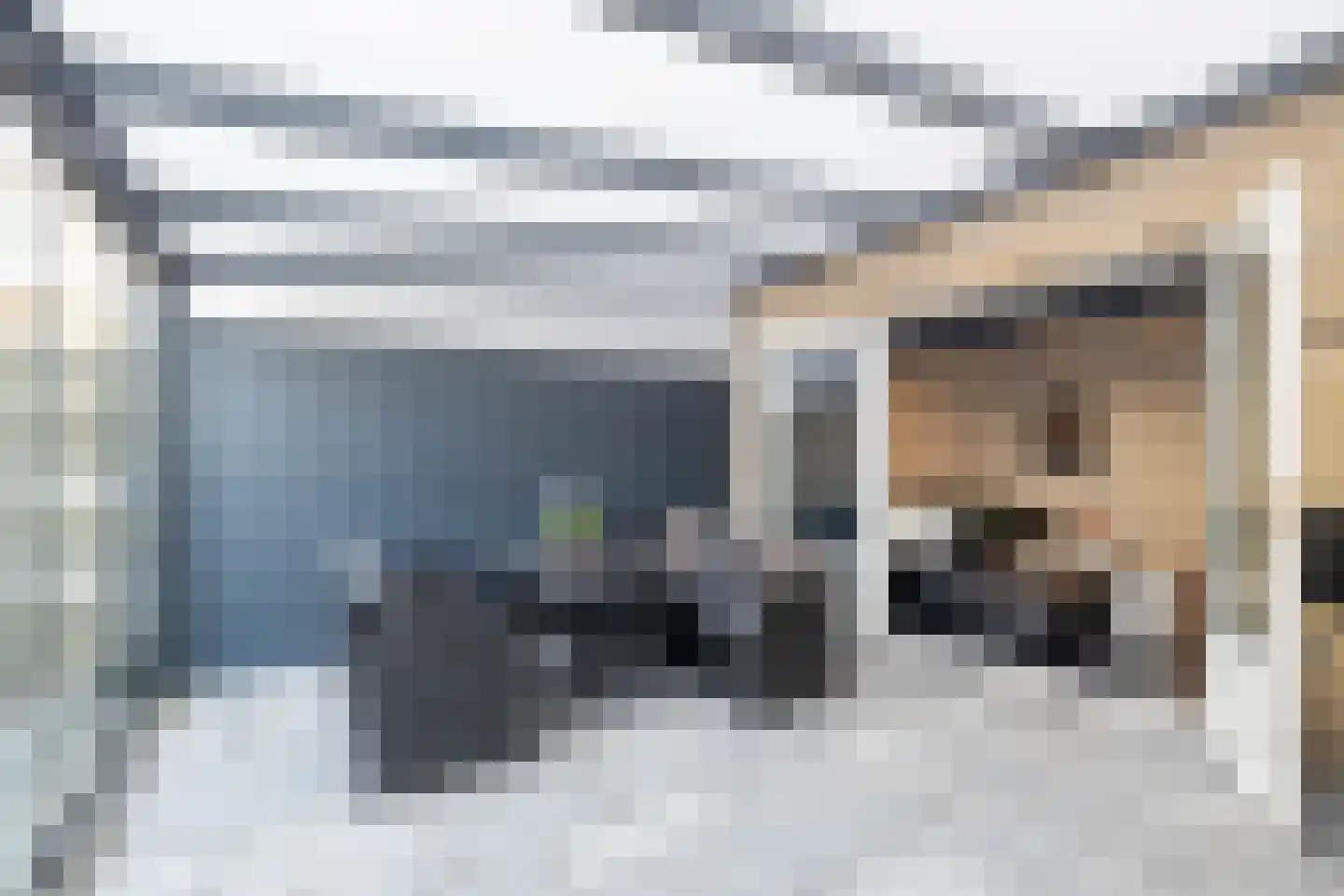 Palmhof 5 Almelo thumbnail 29