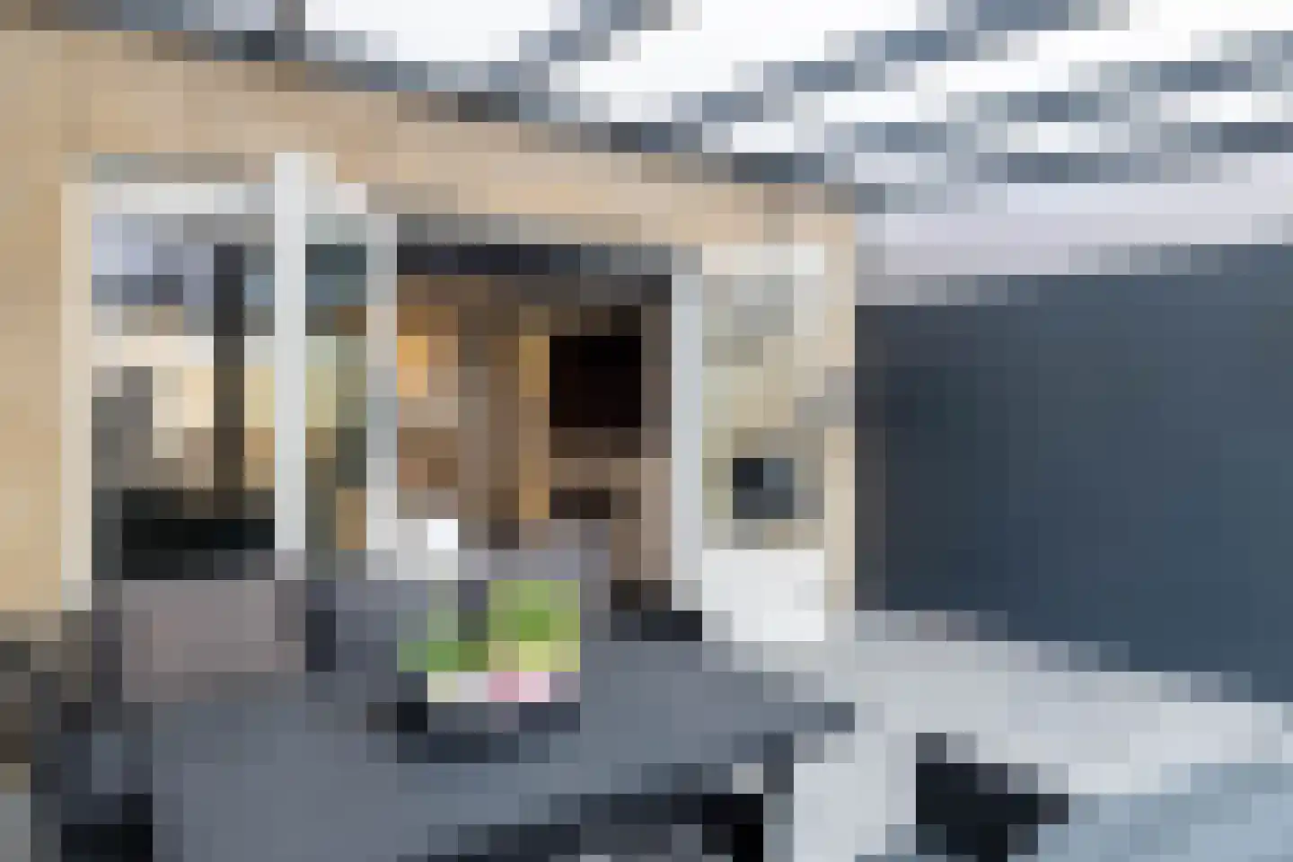 Palmhof 5 Almelo thumbnail 30