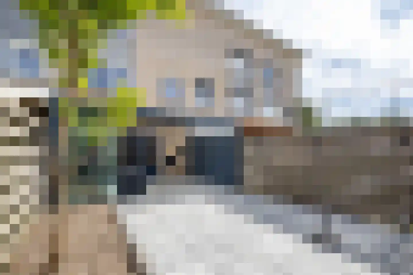 Palmhof 5 Almelo thumbnail 32