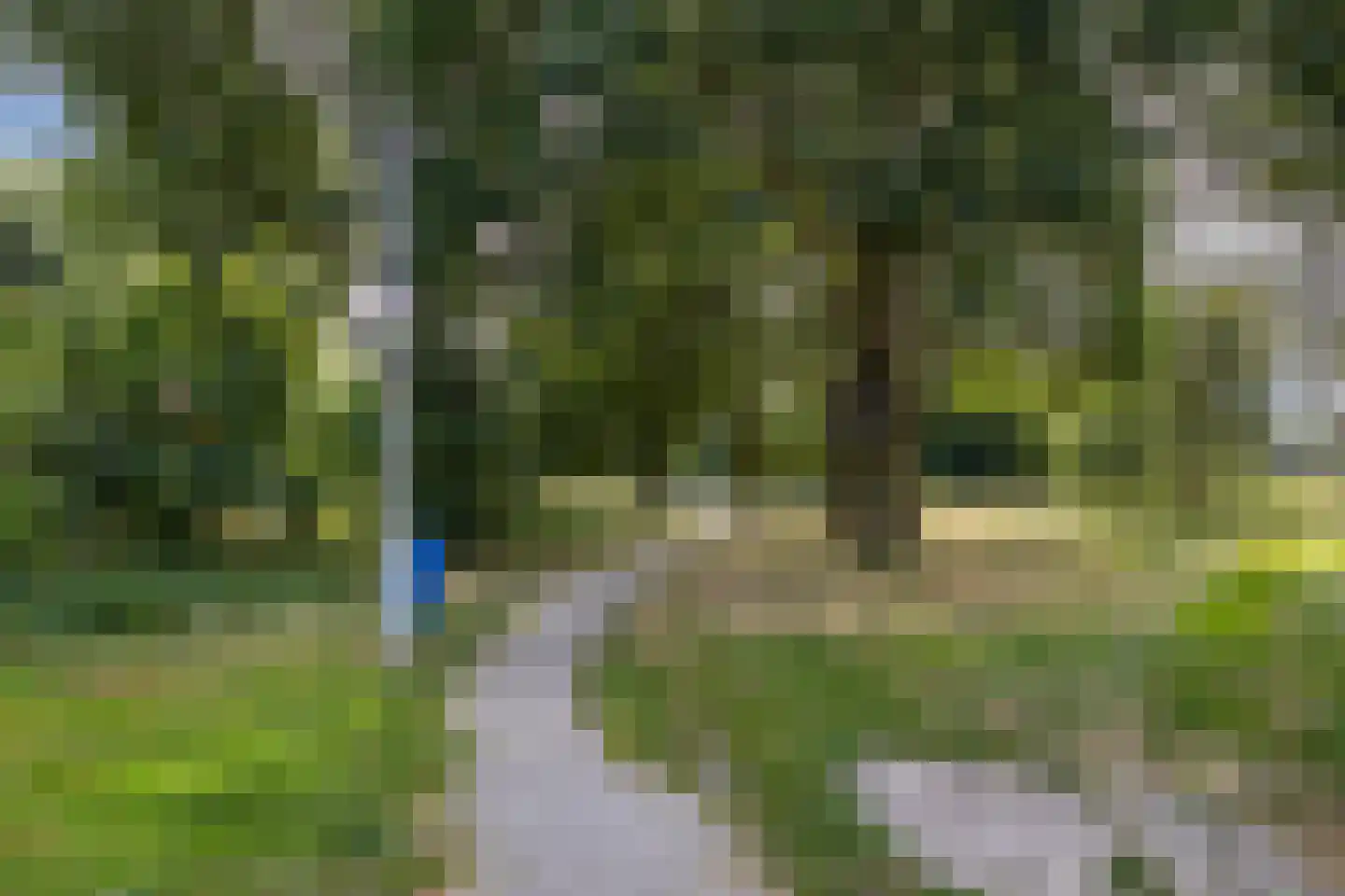 Palmhof 5 Almelo thumbnail 34