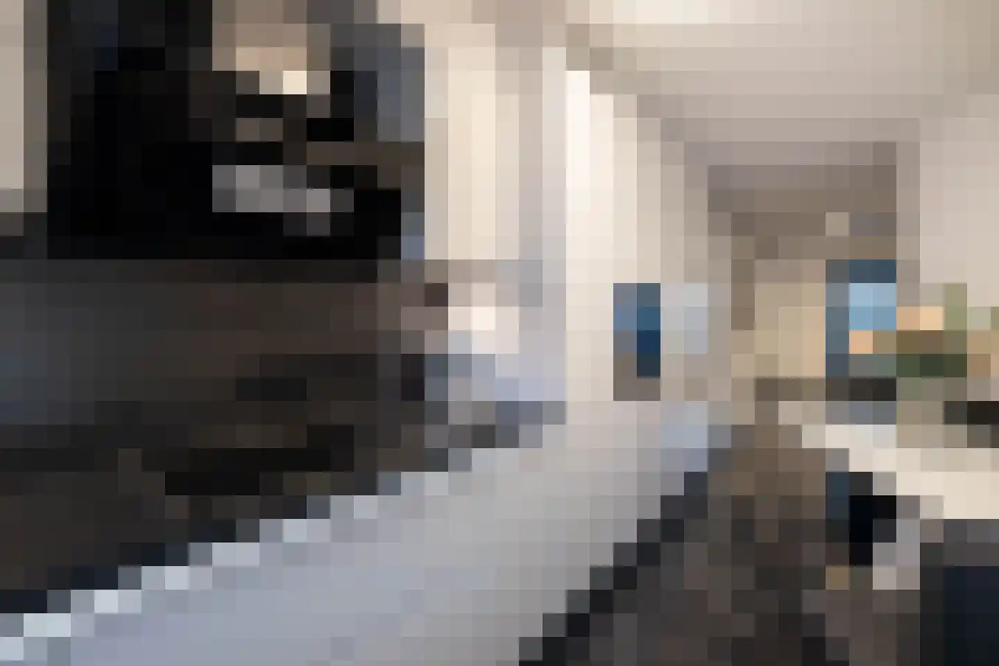 Palmhof 5 Almelo thumbnail 4