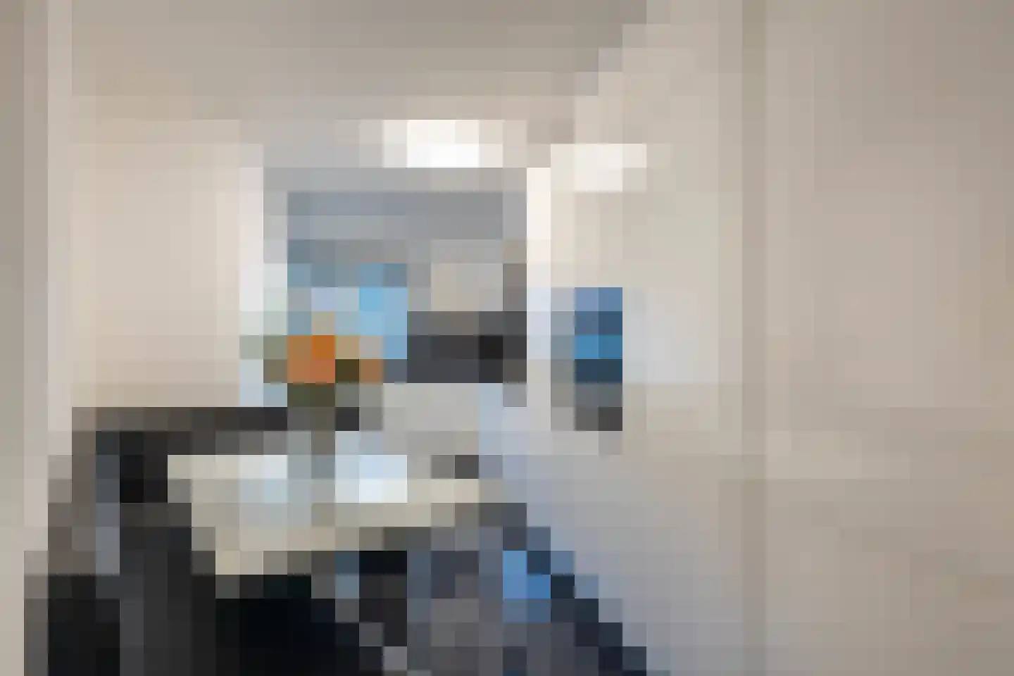 Palmhof 5 Almelo thumbnail 7
