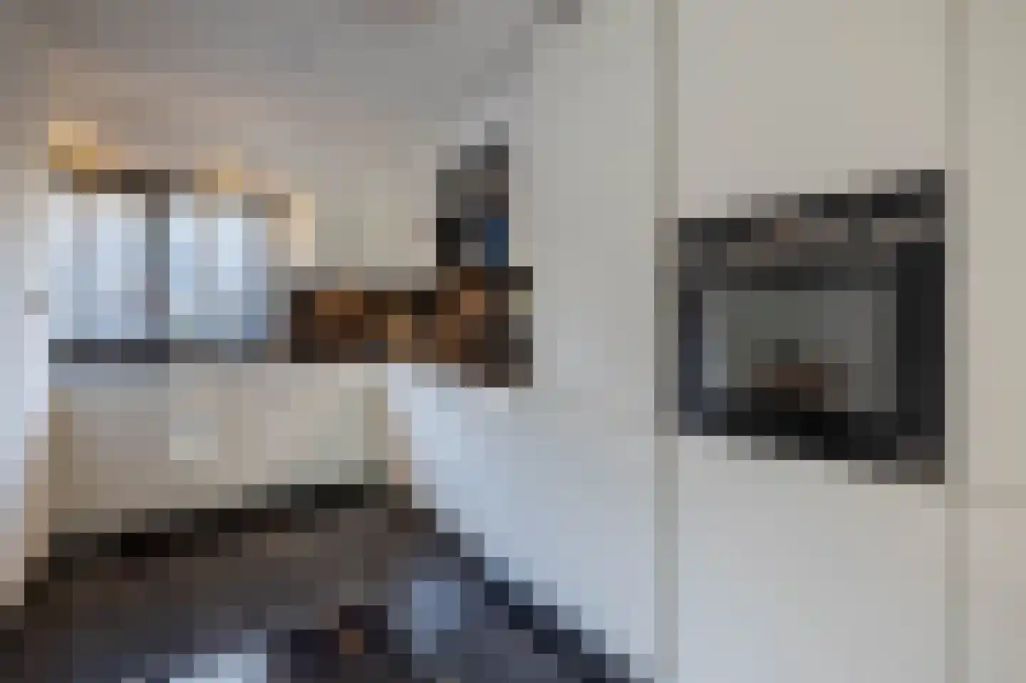 Palmhof 5 Almelo thumbnail 8
