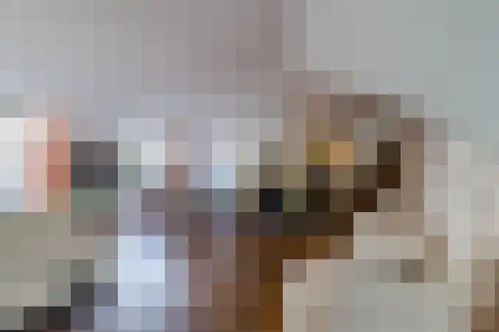Palmhout 20 Zoetermeer thumbnail 10