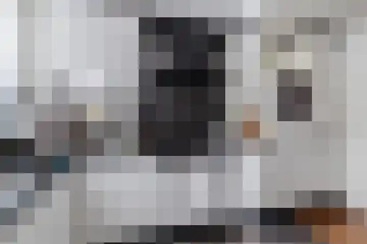 Palmhout 20 Zoetermeer thumbnail 16