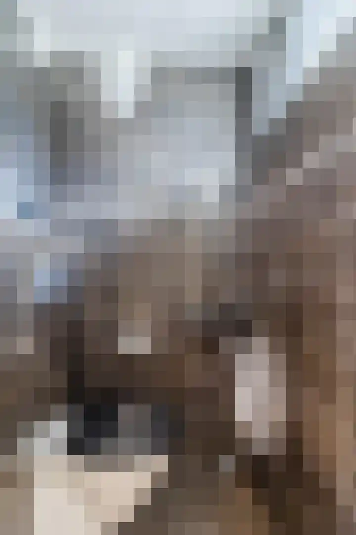 Palmhout 20 Zoetermeer thumbnail 19