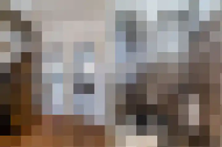 Palmhout 20 Zoetermeer thumbnail 20