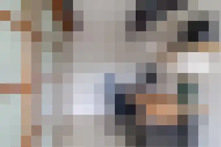 Palmhout 20 Zoetermeer thumbnail 24