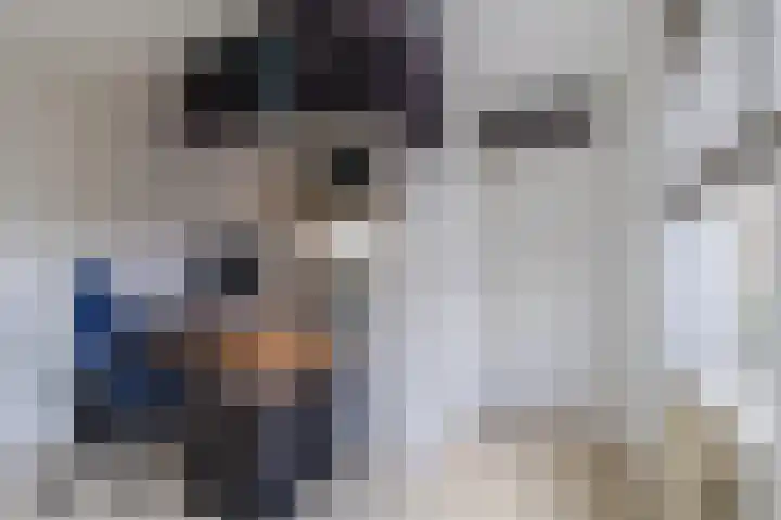 Palmhout 20 Zoetermeer thumbnail 25