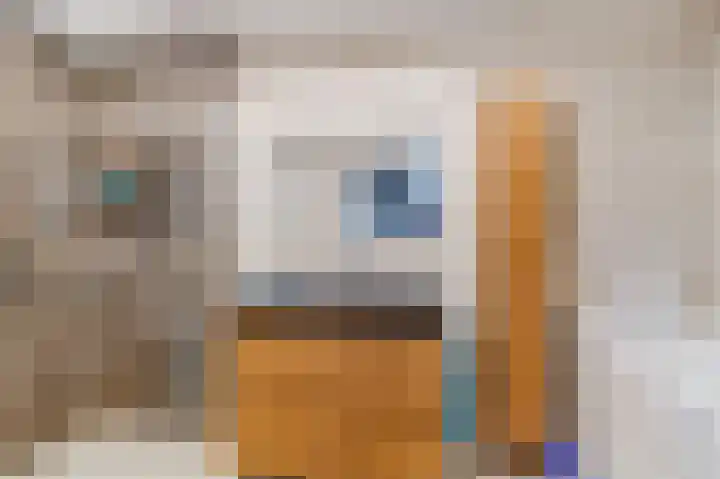 Palmhout 20 Zoetermeer thumbnail 29