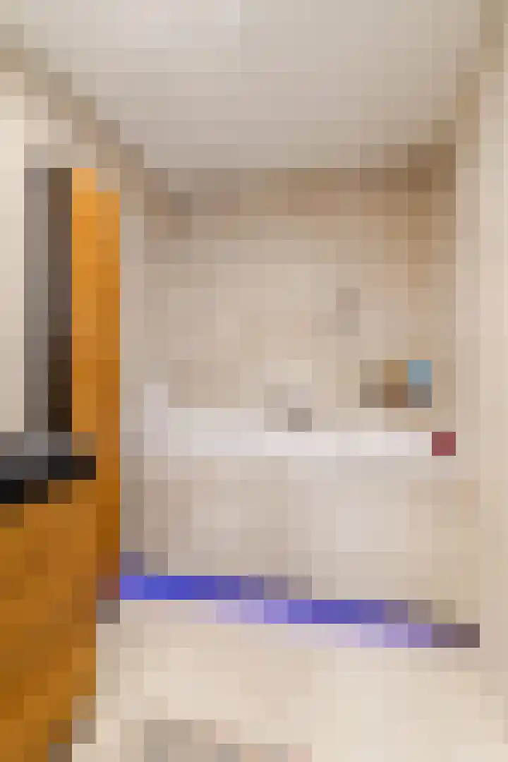 Palmhout 20 Zoetermeer thumbnail 30