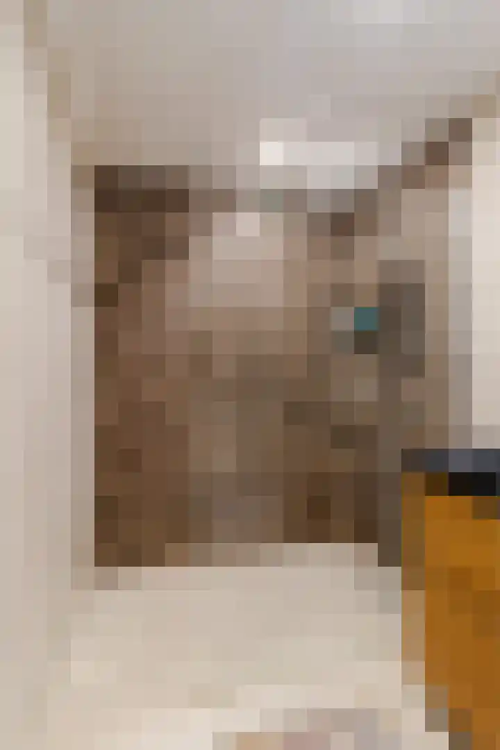 Palmhout 20 Zoetermeer thumbnail 31