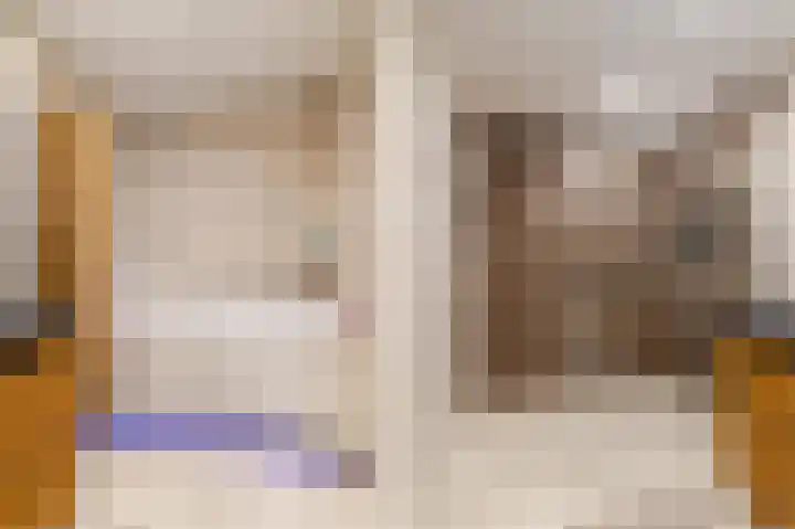 Palmhout 20 Zoetermeer thumbnail 32