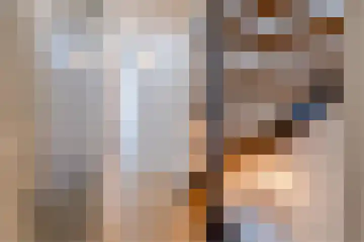Palmhout 20 Zoetermeer thumbnail 33